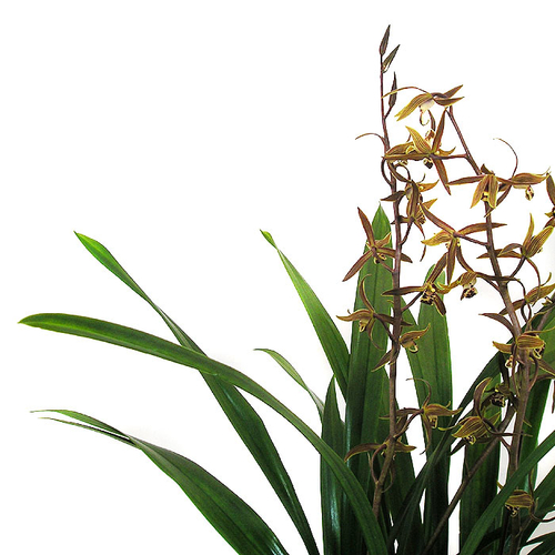 산천보세 1호 (겨울상품)